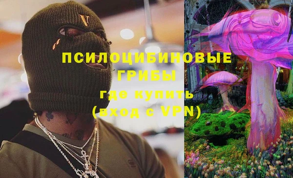 скорость Богородск