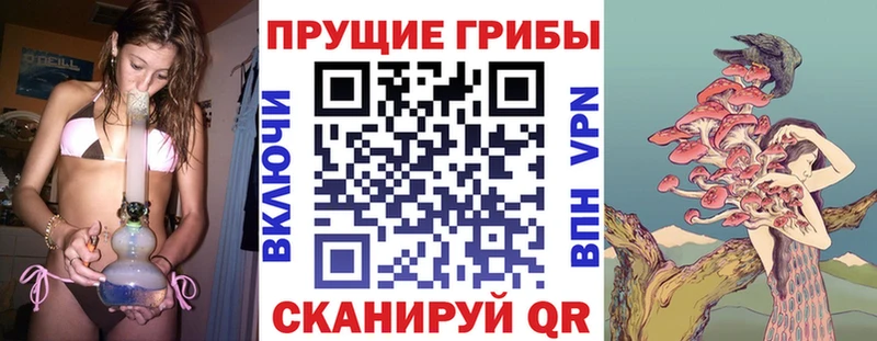 mega ССЫЛКА  Макаров  Псилоцибиновые грибы прущие грибы 
